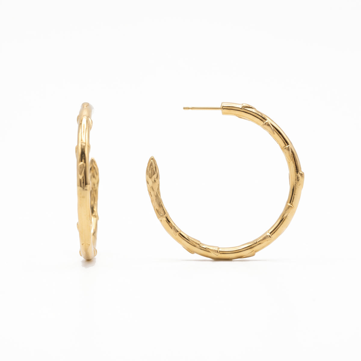 Gold Secret Stash Asparagus Hoops