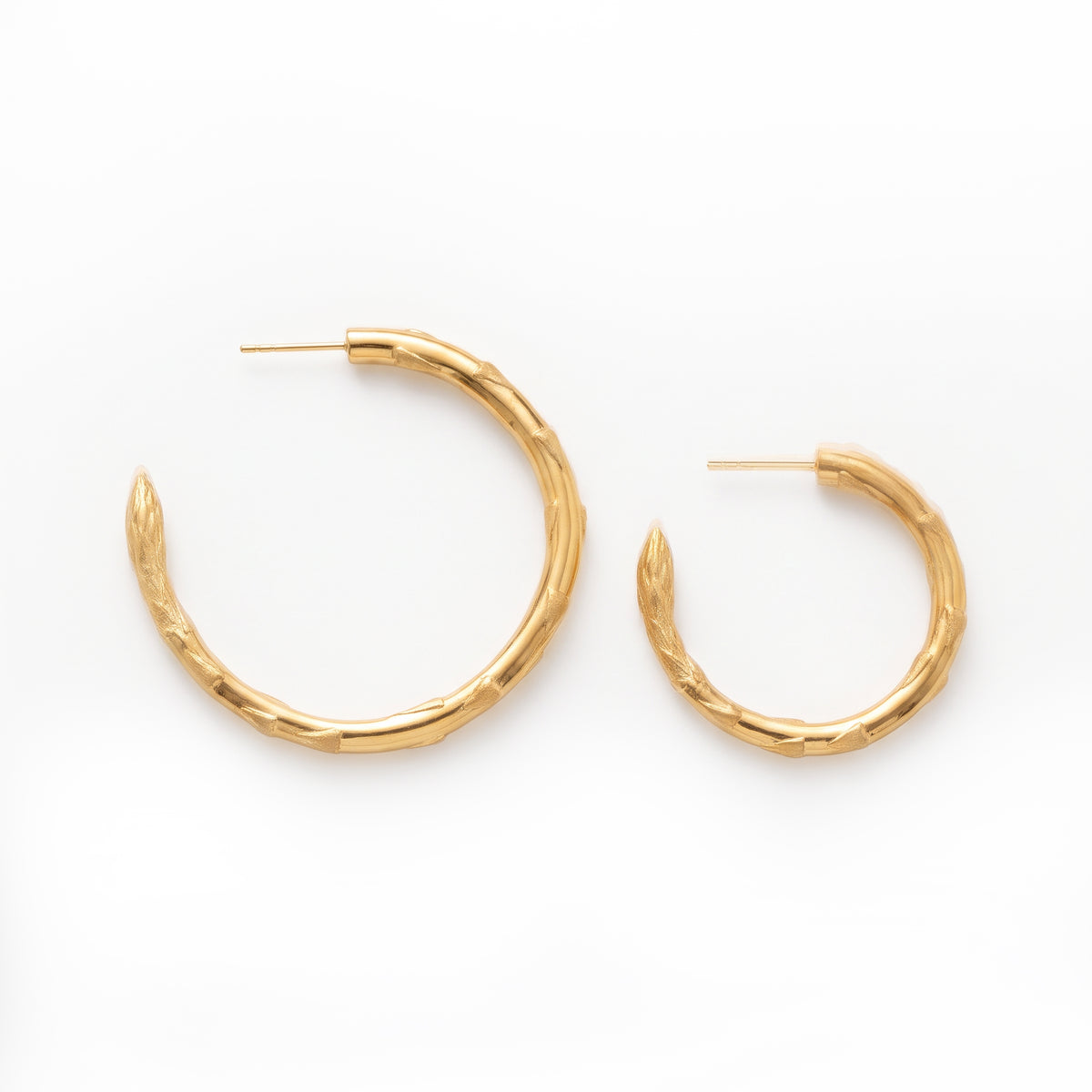 Gold Secret Stash Asparagus Hoops
