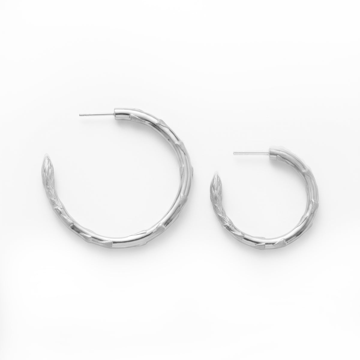 Silver Secret Stash Asparagus Hoops