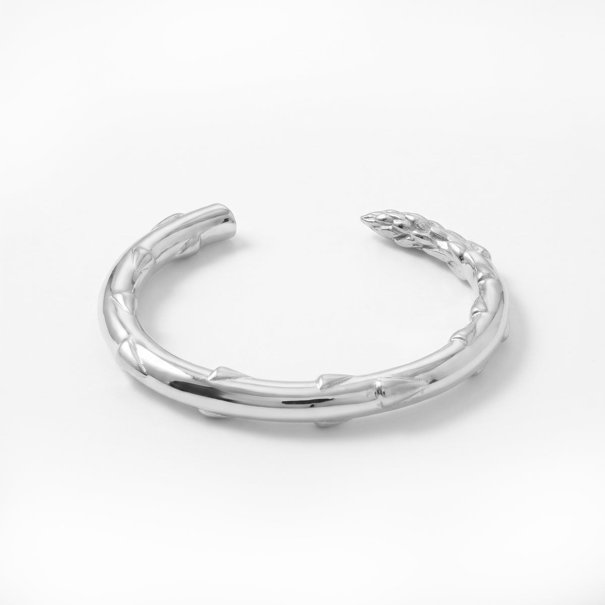 Silver Secret Stash Asparagus Cuff