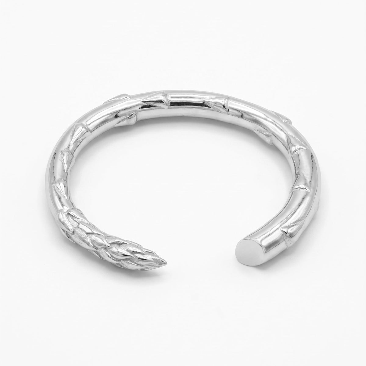Silver Secret Stash Asparagus Cuff