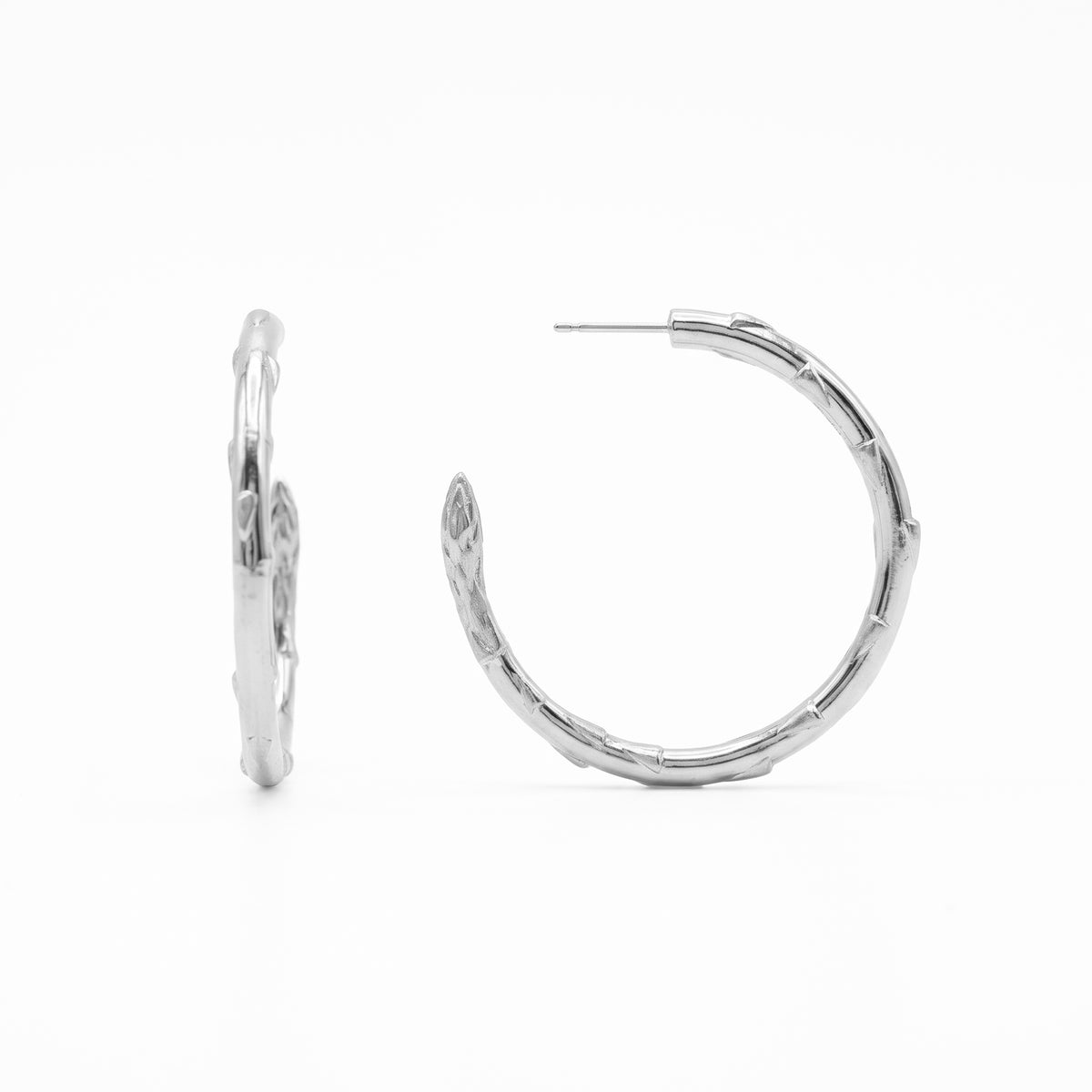 Silver Secret Stash Asparagus Hoops