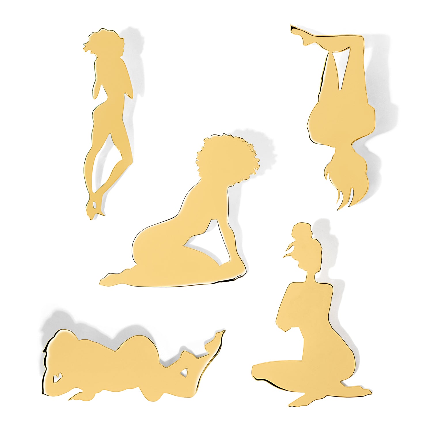 Silhouette Brooch